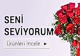 Seni Seviyorum
