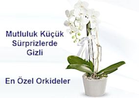�i�ek
