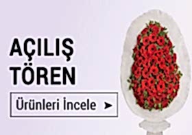 A��l�� T�reni